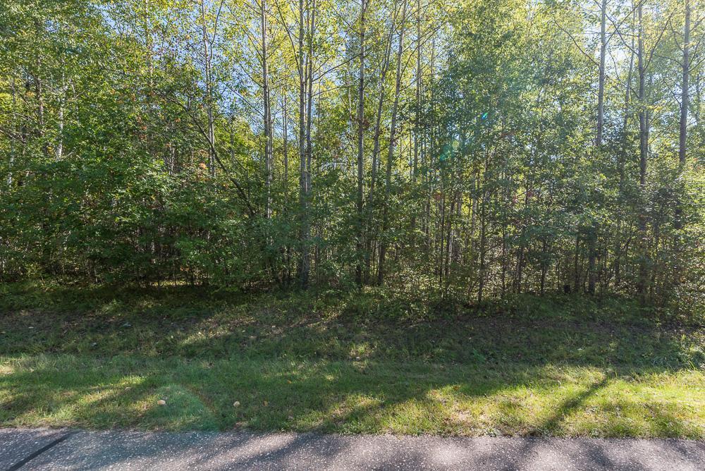 TBD Tract D Little Pine Road, Brainerd, Minnesota image 5