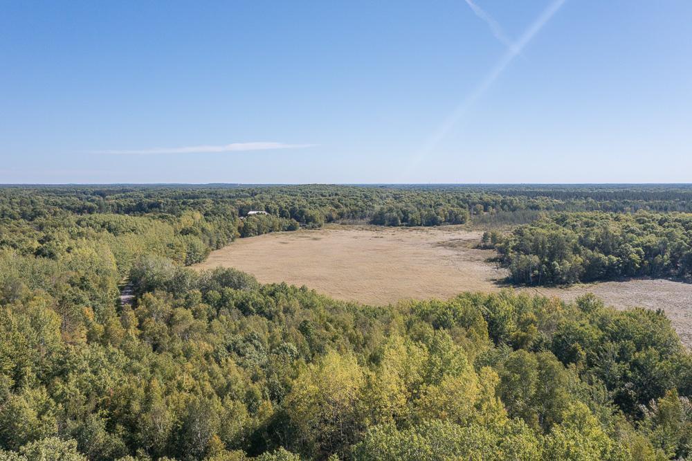 TBD Tract D Little Pine Road, Brainerd, Minnesota image 12