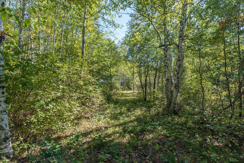 TBD Tract D Little Pine Road, Brainerd, Minnesota image 1