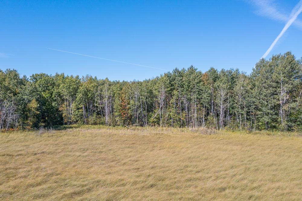 TBD Tract D Little Pine Road, Brainerd, Minnesota image 10