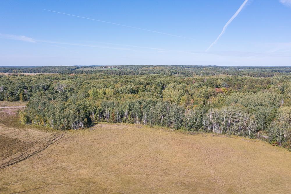TBD Tract D Little Pine Road, Brainerd, Minnesota image 9