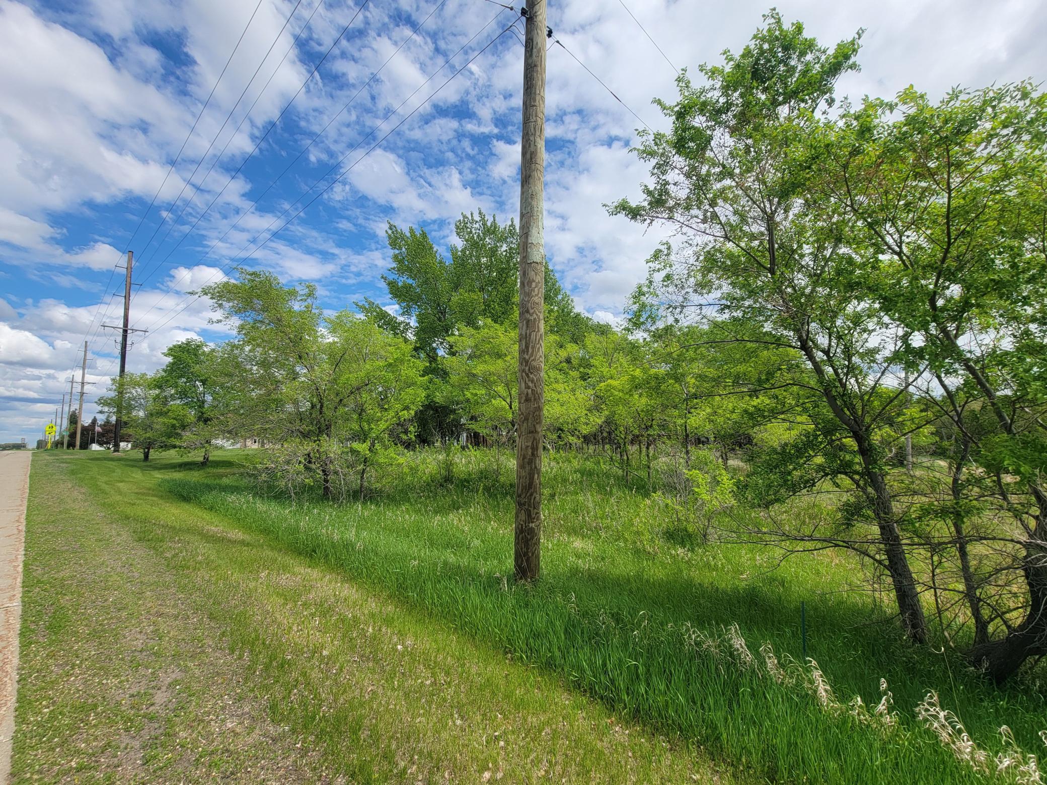 TBD Highway 59, Ogema, Minnesota image 6