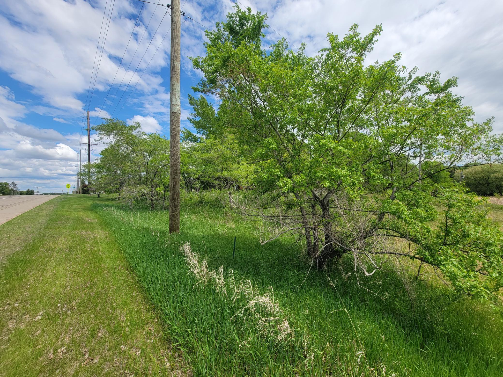 TBD Highway 59, Ogema, Minnesota image 4