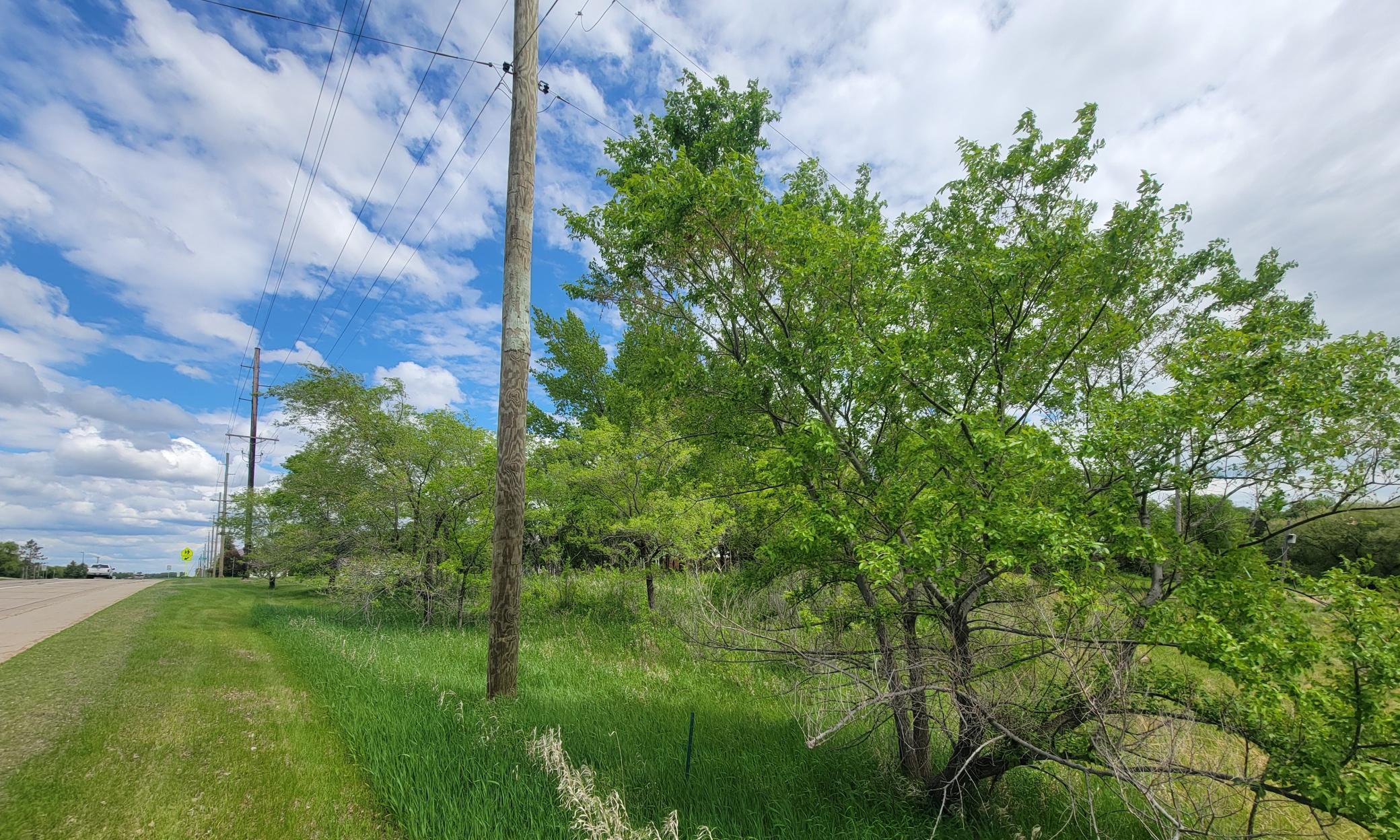 TBD Highway 59, Ogema, Minnesota image 3
