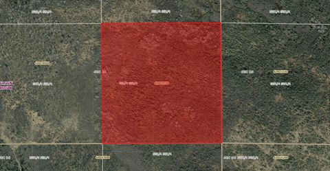 Vacant Land For Sale - _ _<br/> Beltrami County, Grygla, MN 56727