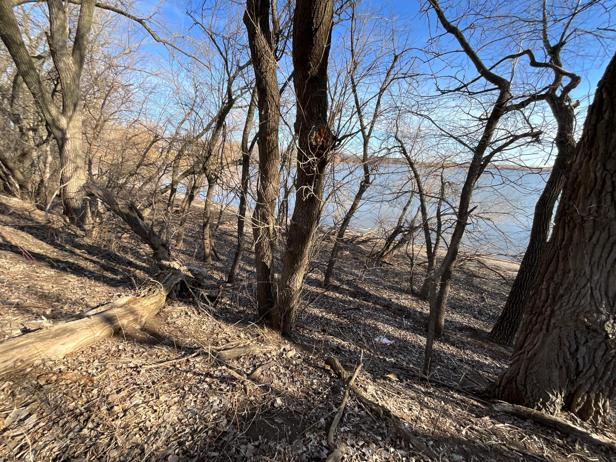 10 Cottonwood Lake Boulevard, Windom, Minnesota image 36