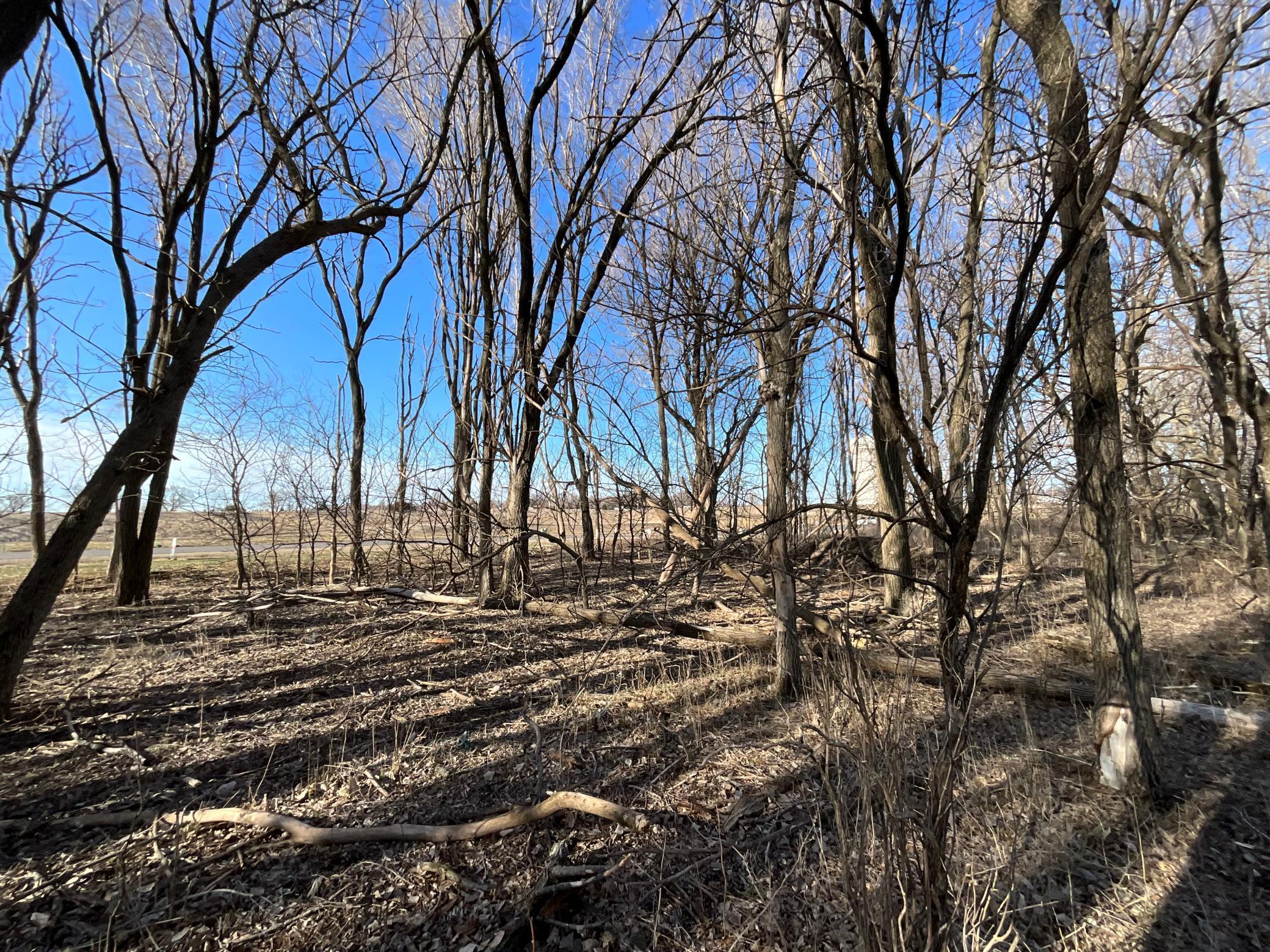 10 Cottonwood Lake Boulevard, Windom, Minnesota image 17