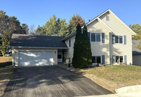 1117 Peterson Drive, Northfield, MN 55057 - #: 6620609