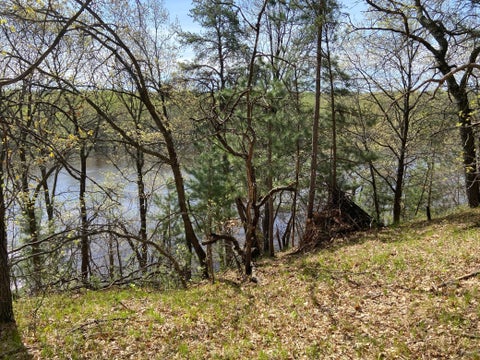 Vacant Land For Sale - TBD Eagle Ridge<br/> Baxter, MN 56425