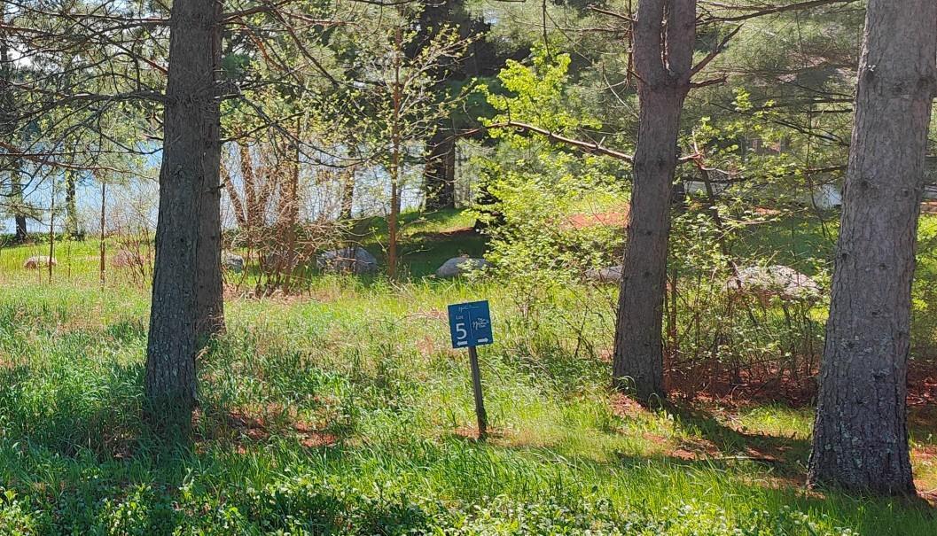 80075 Lake Of Vermilion Road, Tower, Minnesota image 1