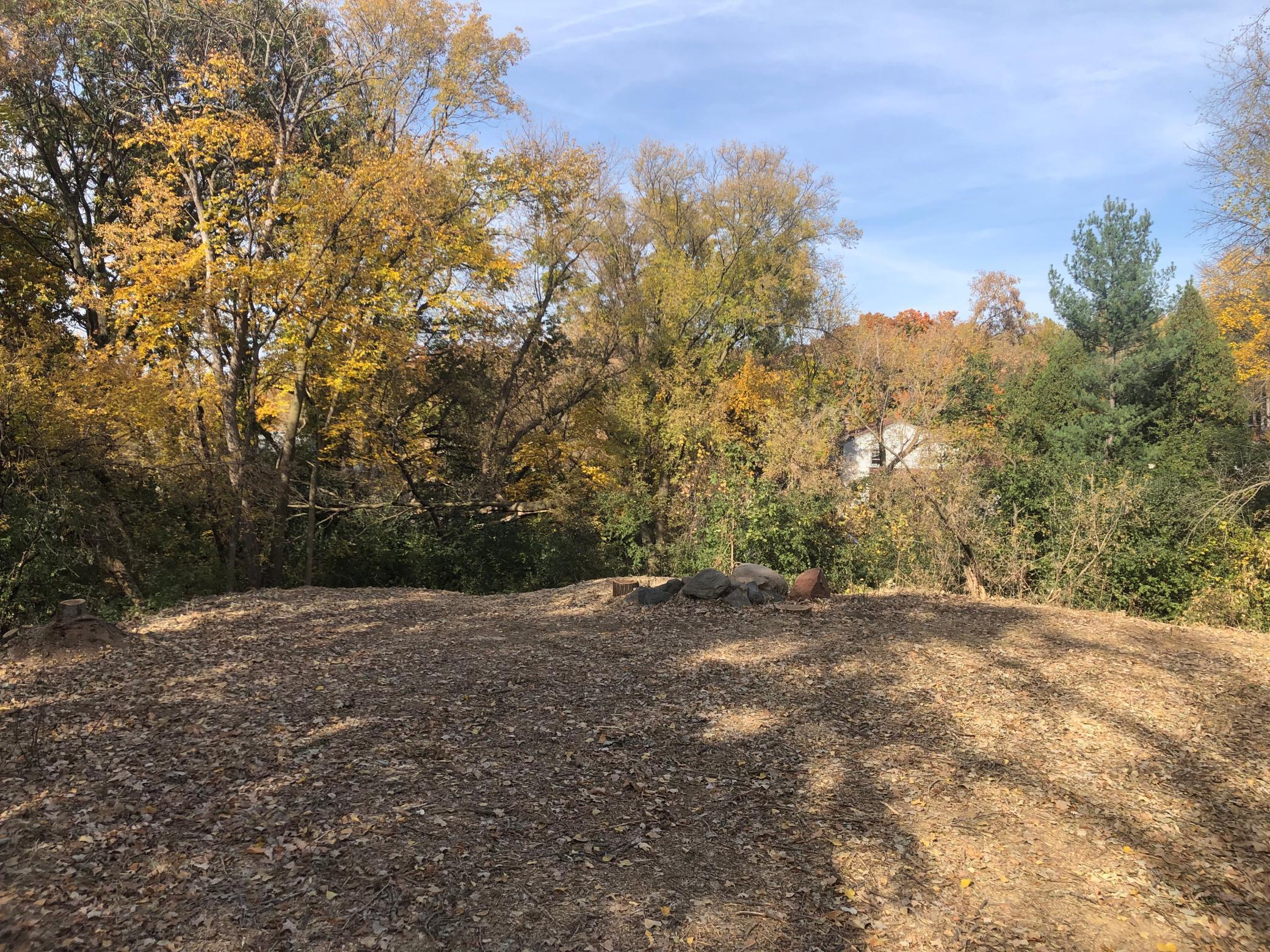 Oakridge Street, Saint Paul, Minnesota image 11