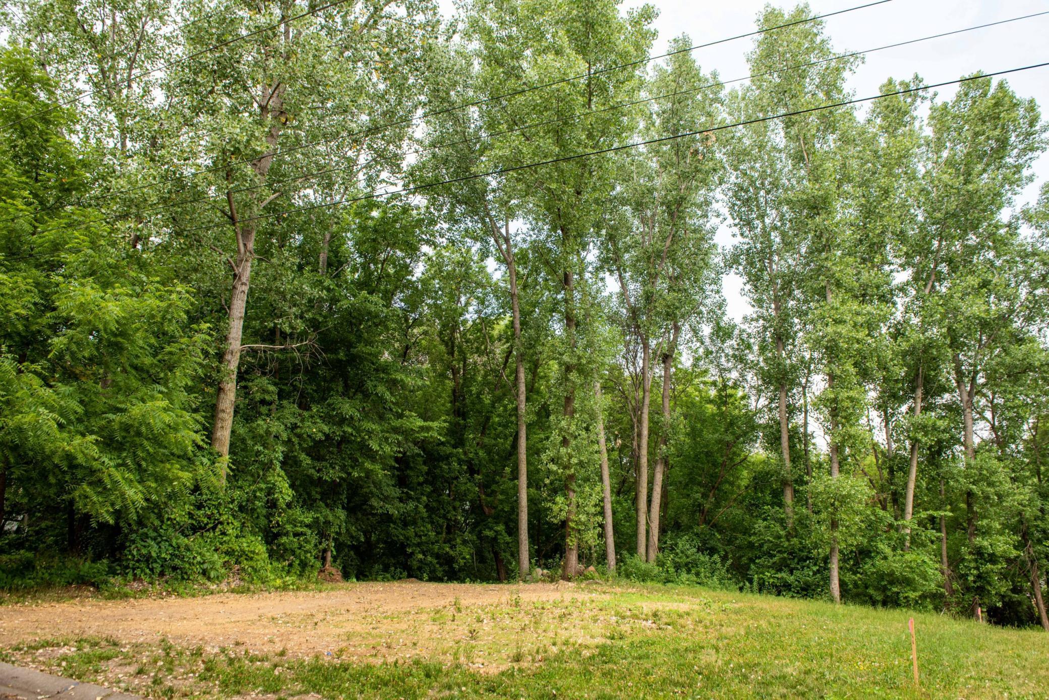 Oakridge Street, Saint Paul, Minnesota image 3
