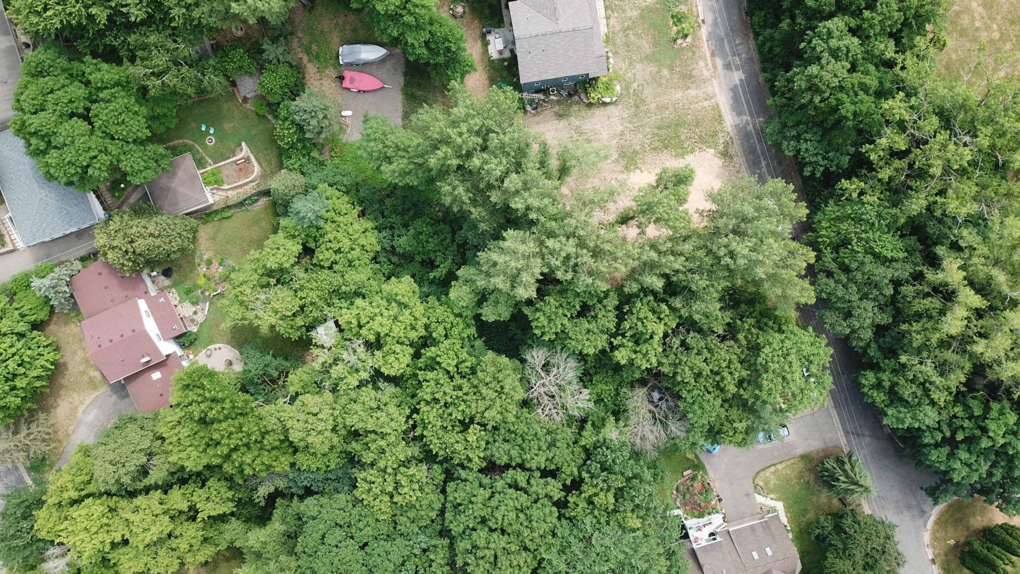 Oakridge Street, Saint Paul, Minnesota image 6