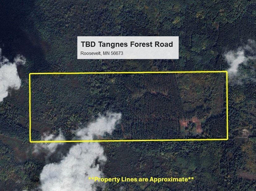 TBD Tangnes Forest Road, Roosevelt, Minnesota image 11