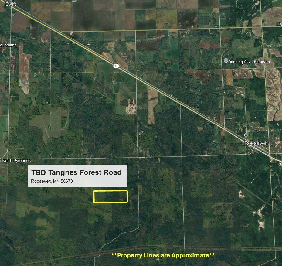 TBD Tangnes Forest Road, Roosevelt, Minnesota image 2