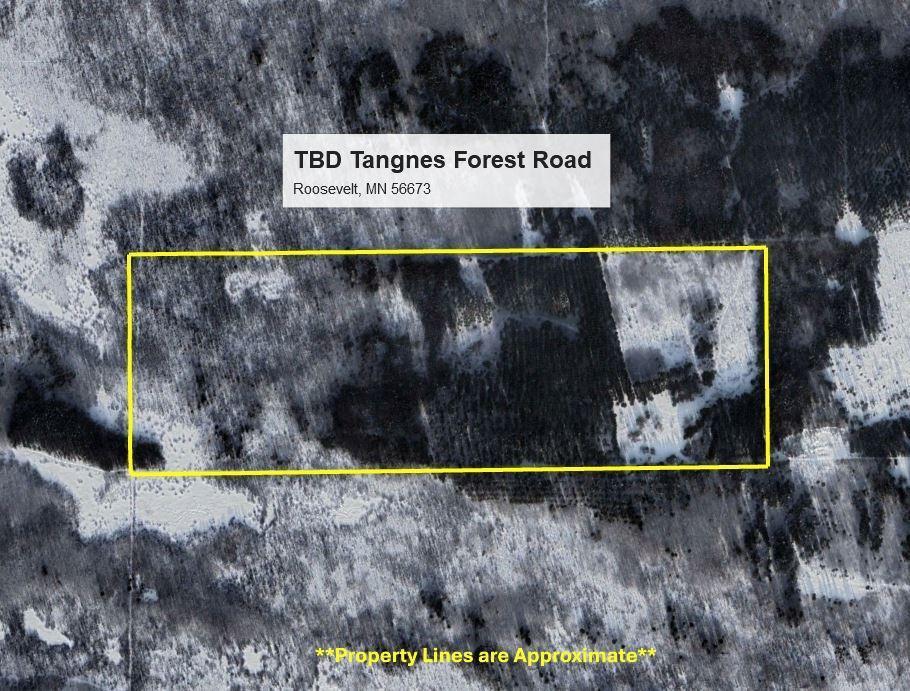 TBD Tangnes Forest Road, Roosevelt, Minnesota image 10