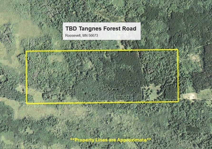TBD Tangnes Forest Road, Roosevelt, Minnesota image 6
