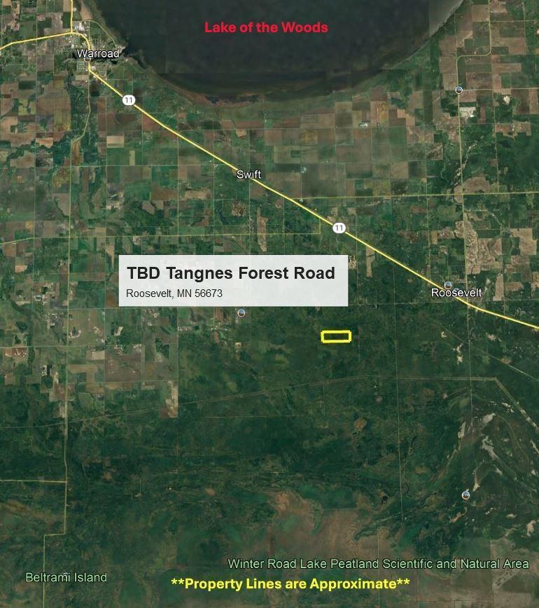 TBD Tangnes Forest Road, Roosevelt, Minnesota image 3