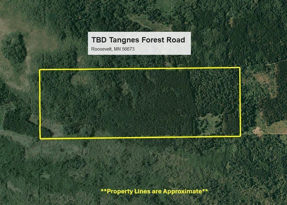 TBD Tangnes Forest Road, Roosevelt, Minnesota image 5