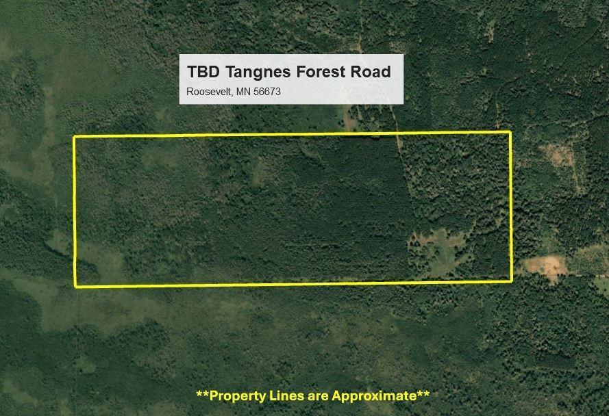 TBD Tangnes Forest Road, Roosevelt, Minnesota image 7