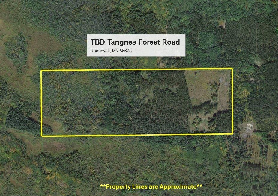 TBD Tangnes Forest Road, Roosevelt, Minnesota image 9