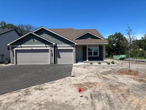 Homes For Sale - 689 152nd Lane<br/> Andover, MN 55304