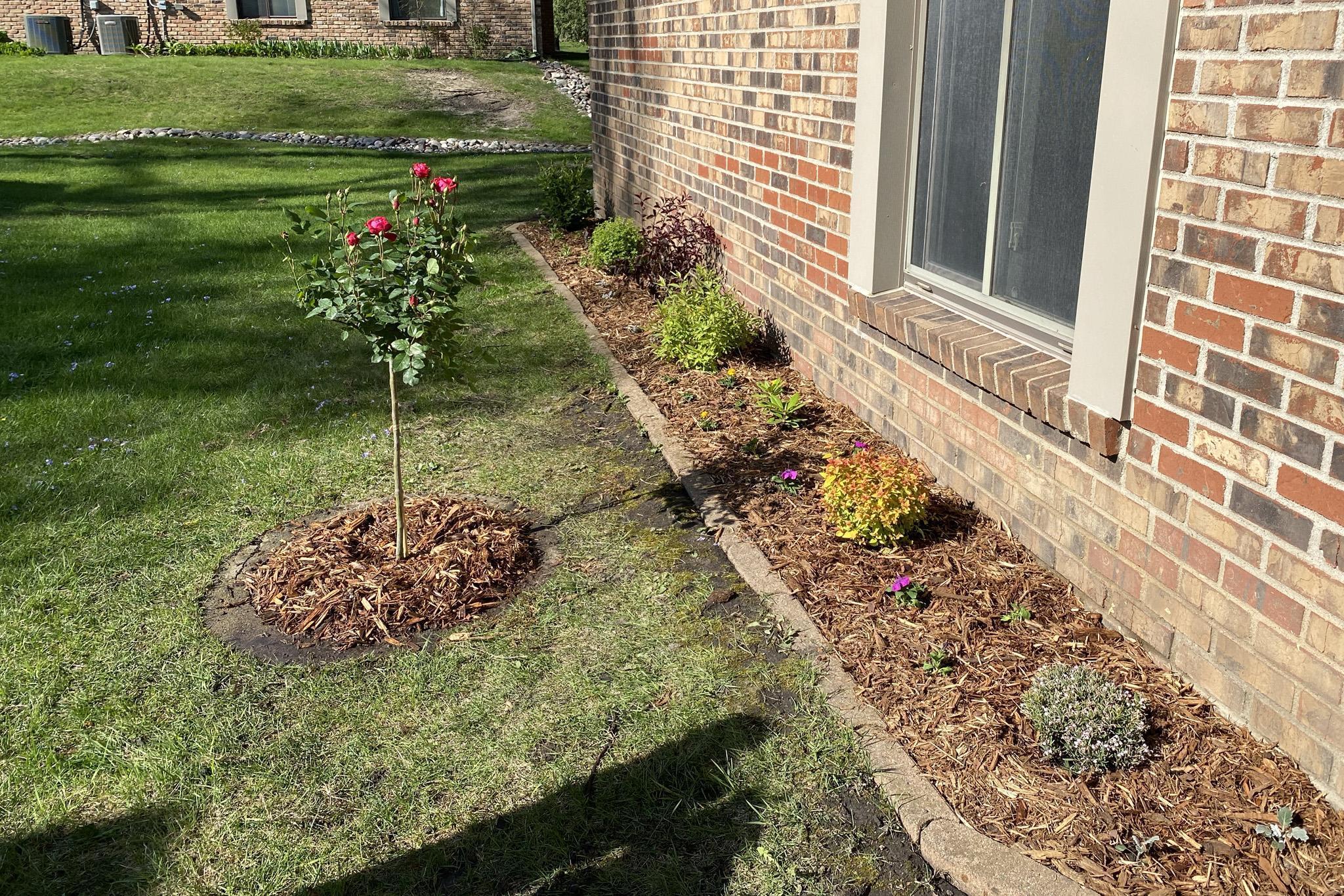 14850 18th Avenue, Minneapolis, Minnesota image 16