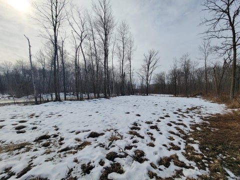 Vacant Land For Sale - TBD Xxxx Black Bear Drive<br/> Cass County, Motley, MN 56466