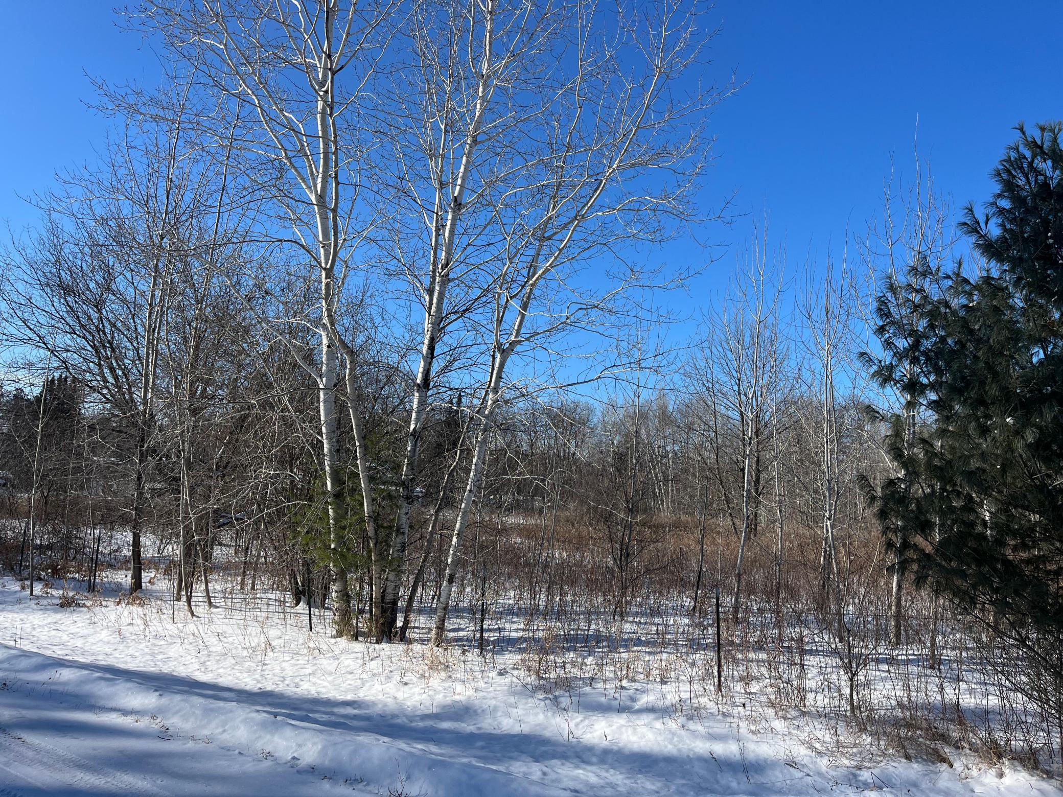 TBD Fox Run, Deerwood, Minnesota image 3