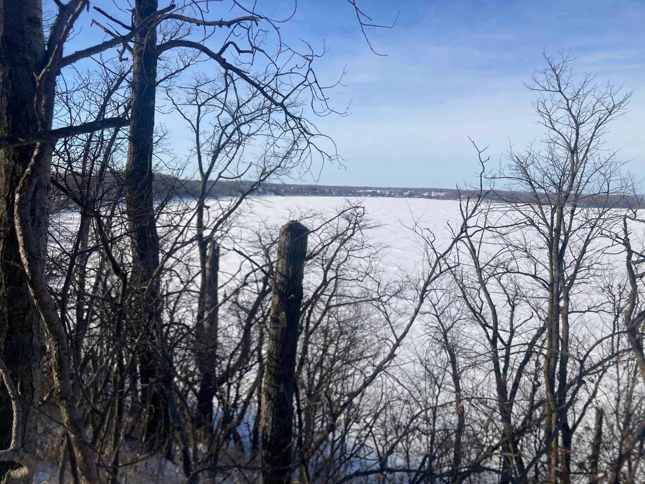 TBD Wild Rose Trail, Frazee, Minnesota image 13