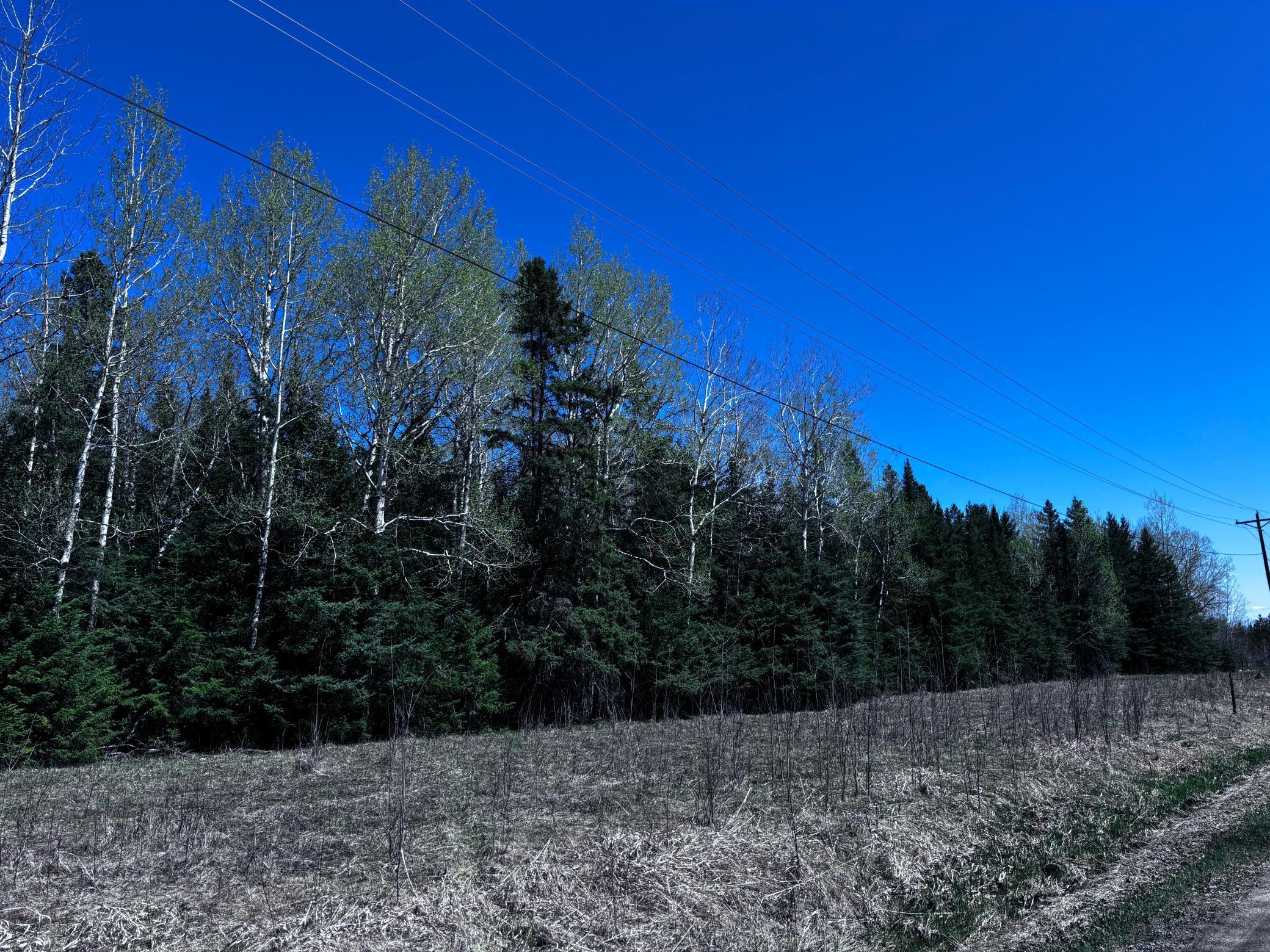 TBD Town Road 286, International Falls, Minnesota image 6