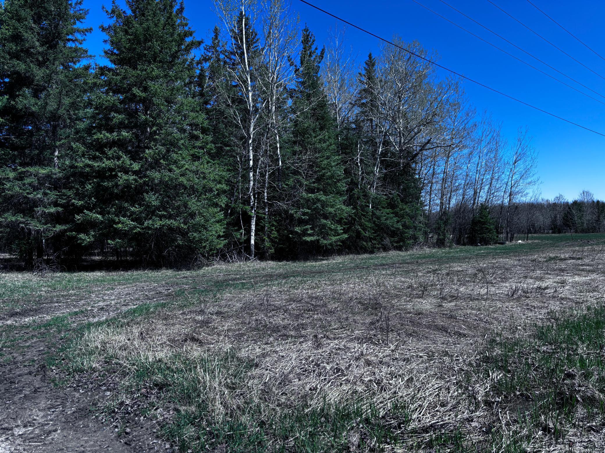 TBD Town Road 286, International Falls, Minnesota image 2
