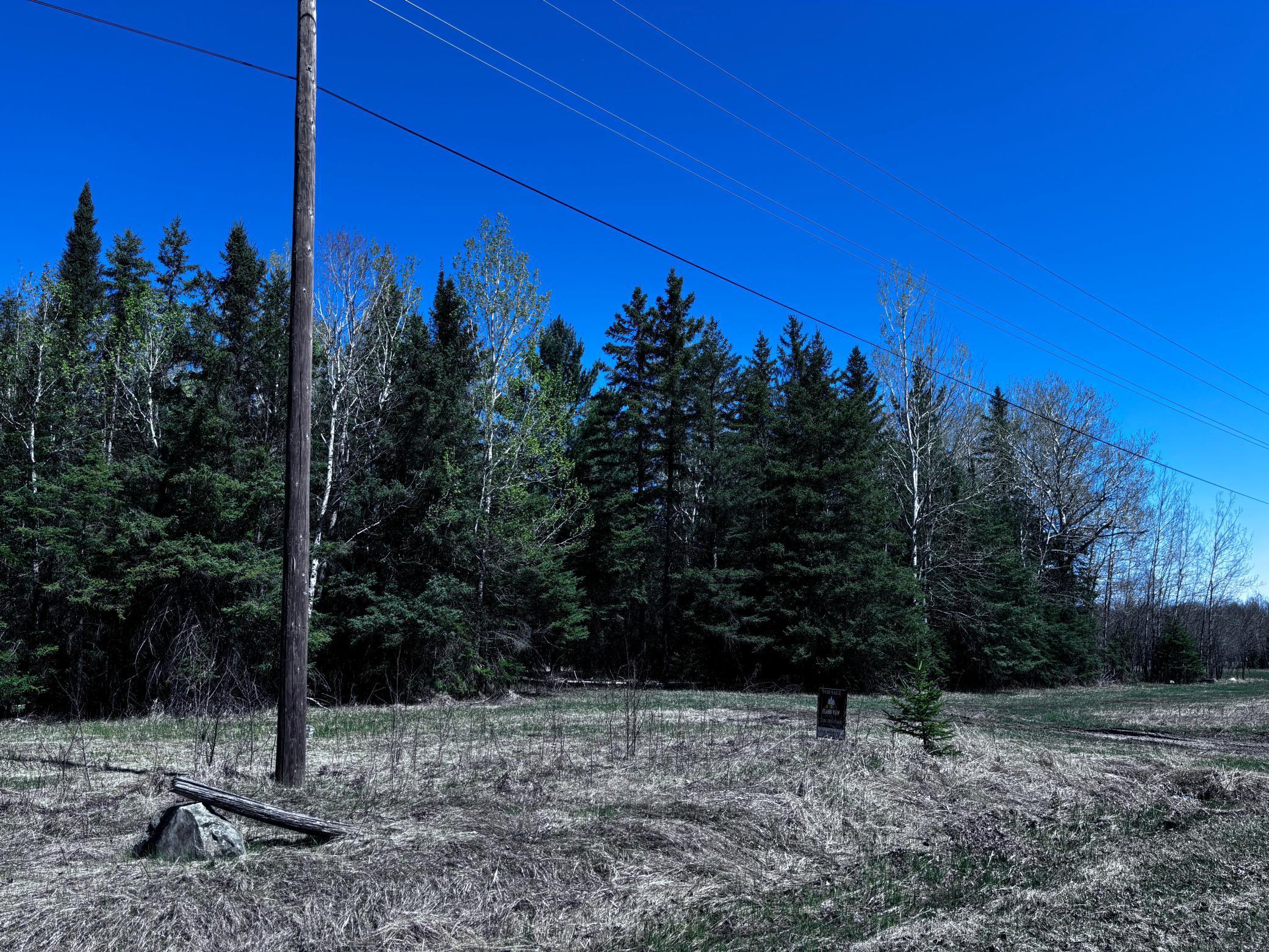 TBD Town Road 286, International Falls, Minnesota image 7
