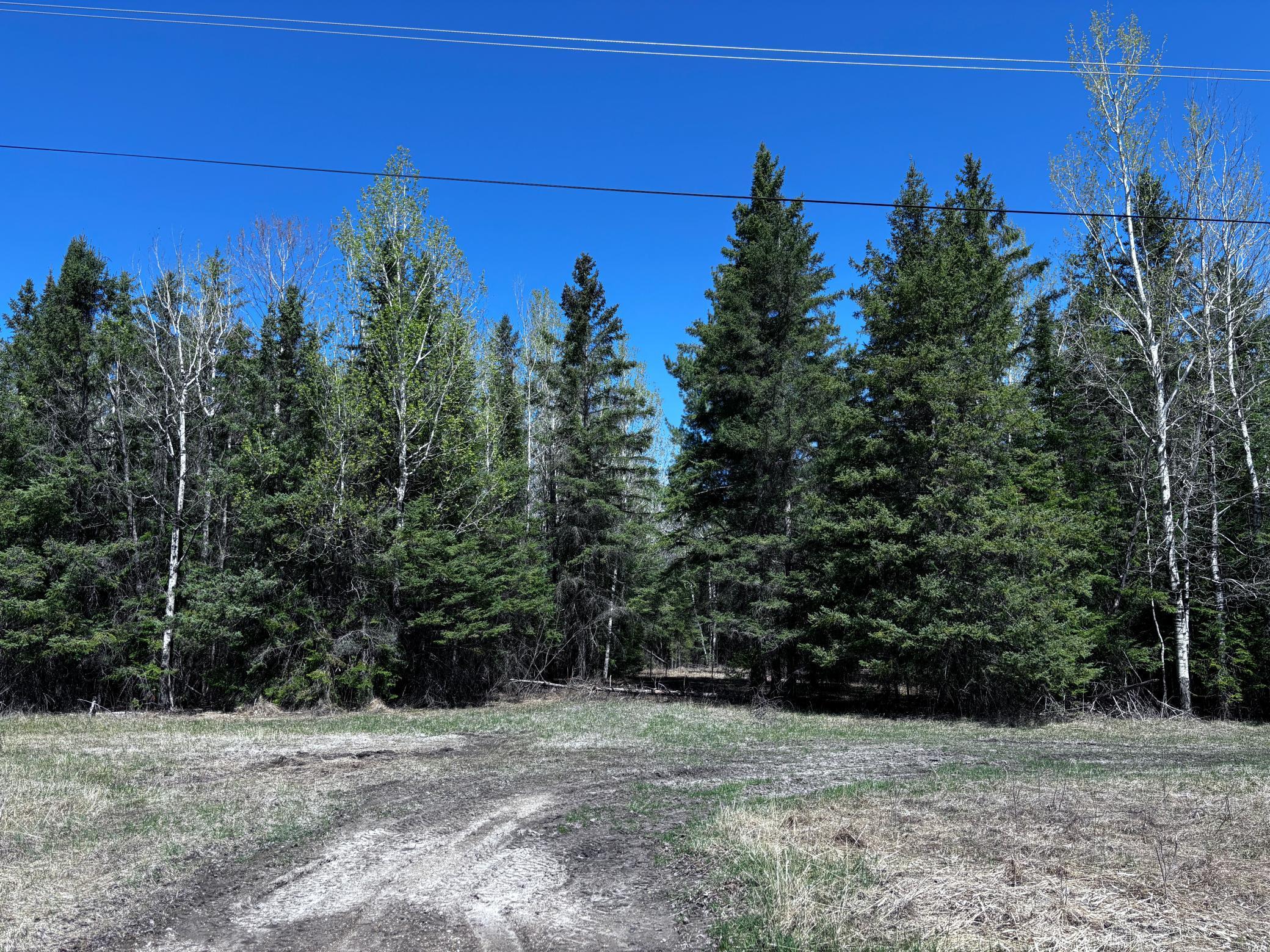 TBD Town Road 286, International Falls, Minnesota image 1