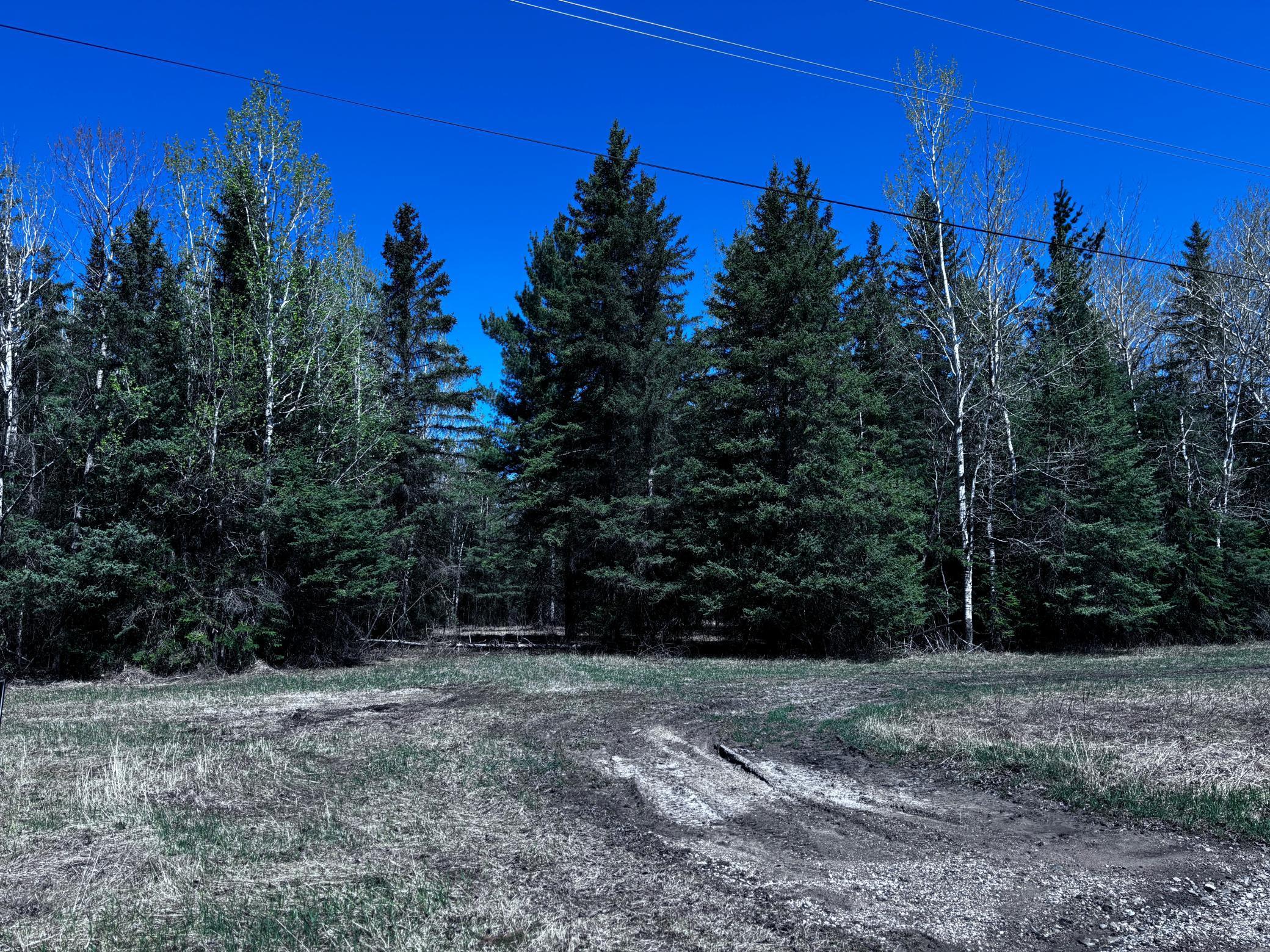 TBD Town Road 286, International Falls, Minnesota image 8