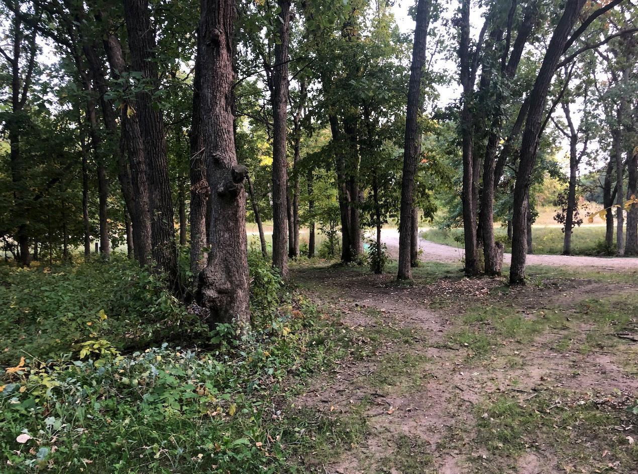 38653 Preserve Drive, Richville, Minnesota image 7