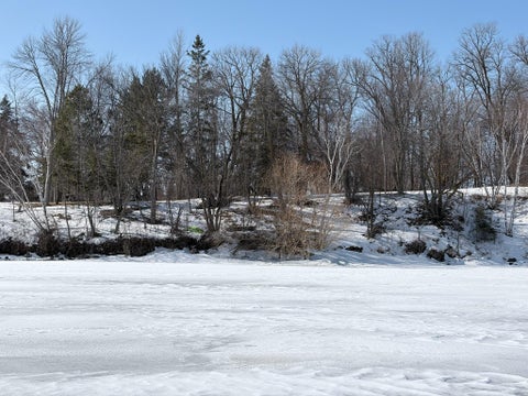Vacant Land For Sale - 798 S Shore Drive<br/> Becker County, Detroit Lakes, MN 56501