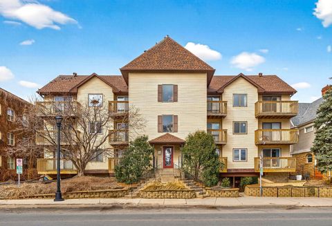 Condo For Sale - 1720 3rd Avenue<br/> Minneapolis, MN 55404