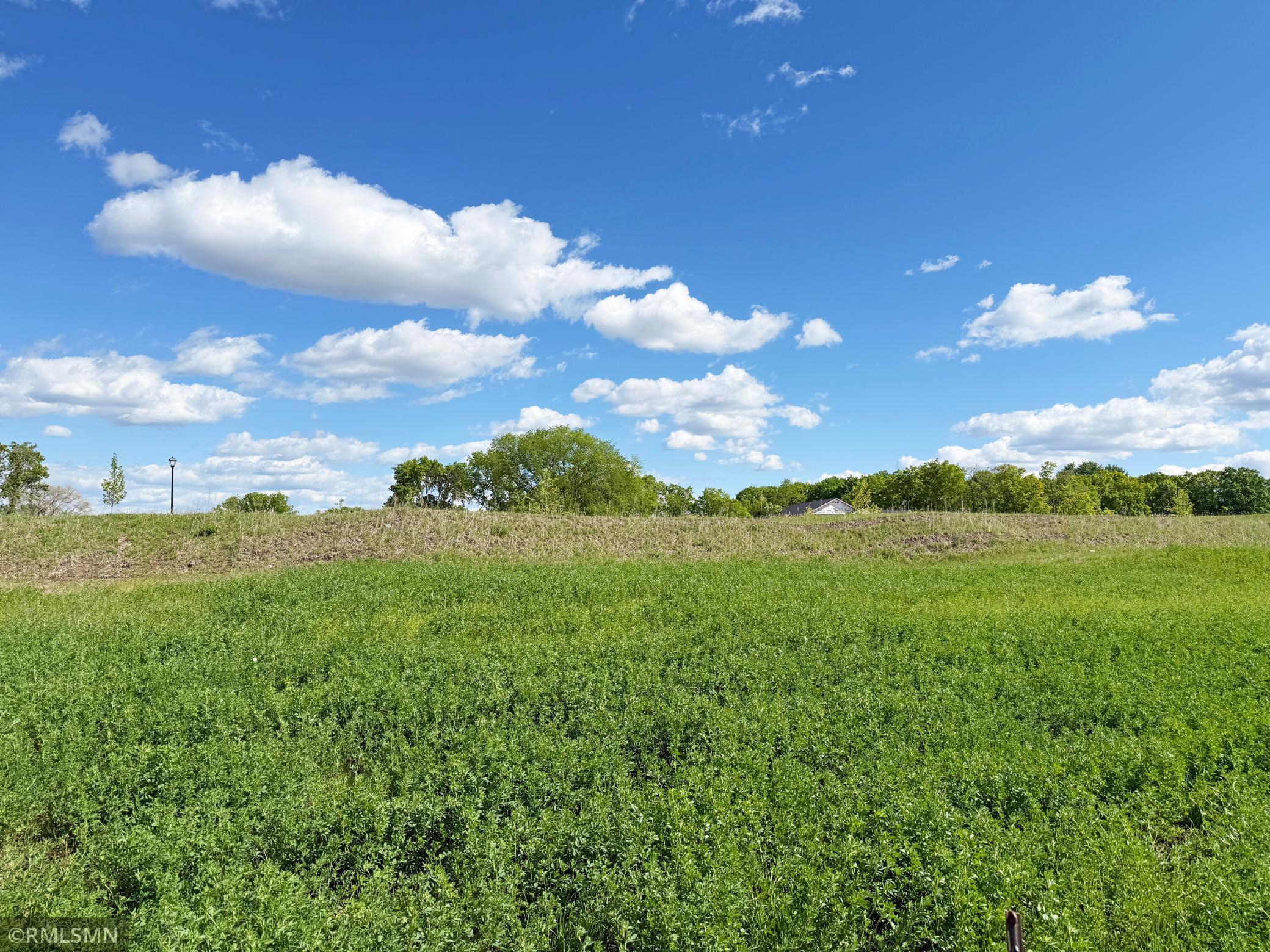 7550 Lake John Drive, Annandale, Minnesota image 29