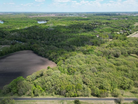 Vacant Land For Sale - 211XX County Road 75<br/> Clearwater, MN 55320