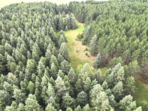 Vacant Land For Sale - TBD- PARCEL C Sleepy Hollow Road<br/> Brainerd, MN 56401