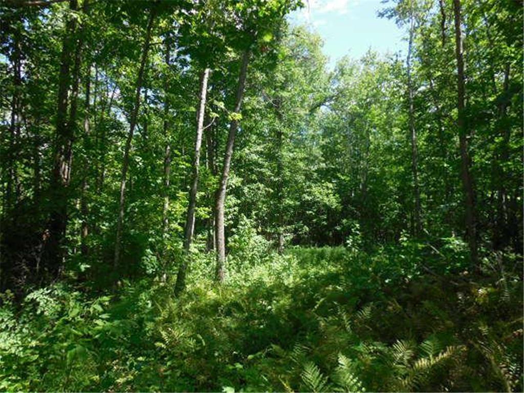 TBD E Forest Lane, Wright, Minnesota image 3