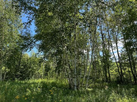 Vacant Land For Sale - TBD Nokay Hall Road<br/> Crow Wing County, Brainerd, MN 56401
