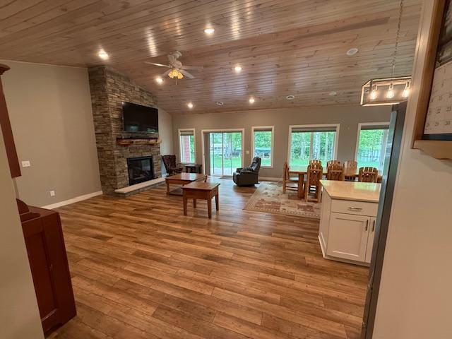 6207 Lagoon Drive, Bemidji, Minnesota image 7