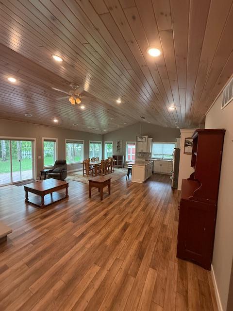 6207 Lagoon Drive, Bemidji, Minnesota image 4