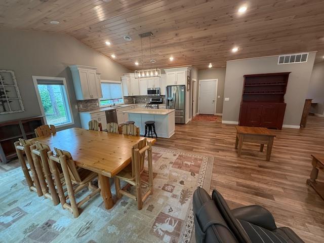 6207 Lagoon Drive, Bemidji, Minnesota image 6