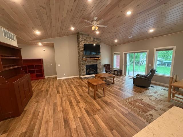 6207 Lagoon Drive, Bemidji, Minnesota image 8