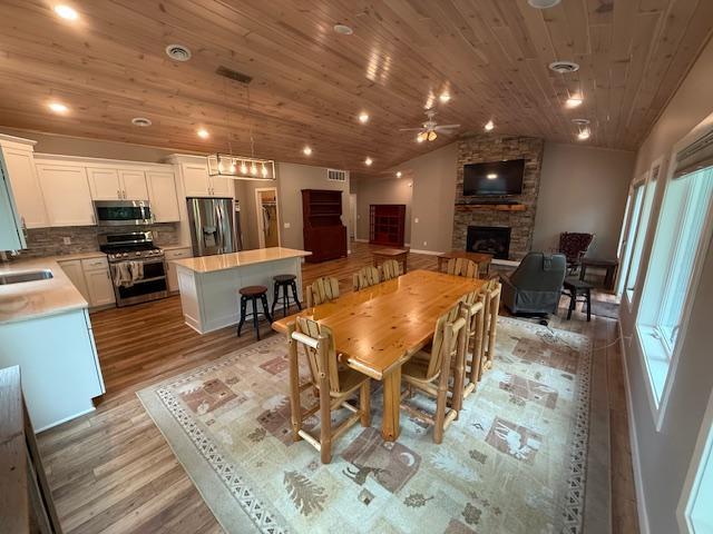 6207 Lagoon Drive, Bemidji, Minnesota image 5