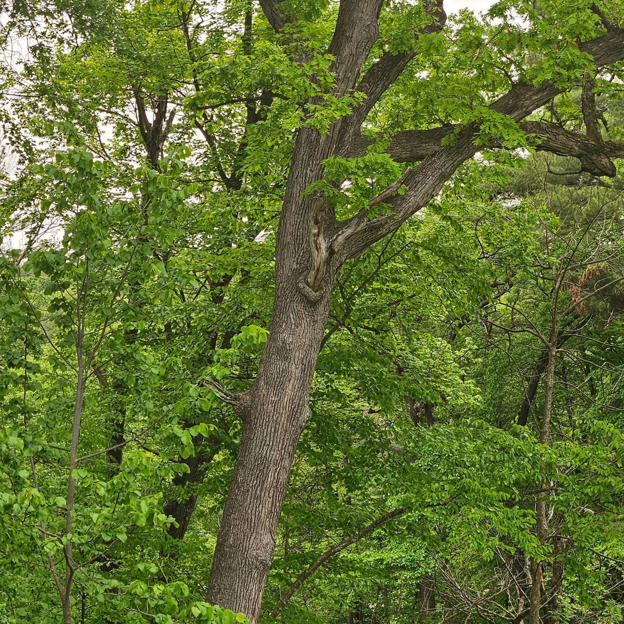 TBD 330th Avenue, Elmwood, Wisconsin image 2