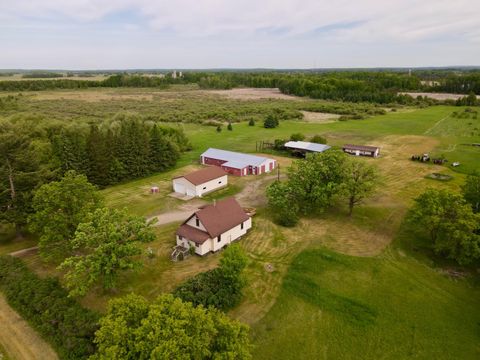 Homes For Sale - 54957 473rd St St<br/> Otter Tail County, New York Mills, MN 56567